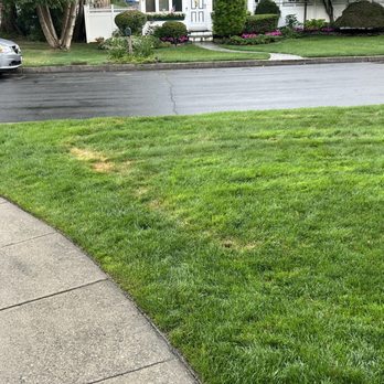 TruGreen Lawn Care - a green lawn in front of a house - Tree Services Near Me - Yaphank, New York TruGreen Lawn Care - a green lawn in front of a house - Tree Services Near Me - Yaphank, New York