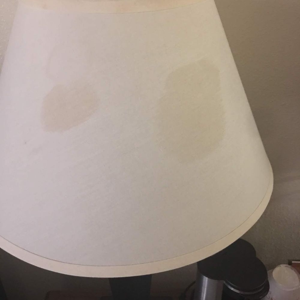 Quality Inn Hamilton Bitterroot Valley - Stained lamp shade - Hotels Near Me - Hamilton, Montana Quality Inn Hamilton Bitterroot Valley - Stained lamp shade - Hotels Near Me - Hamilton, Montana