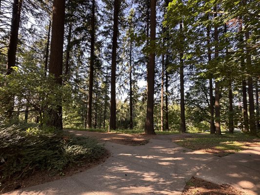 Mt. Tabor Picnic A by null