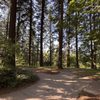 Mount Tabor Park gift card