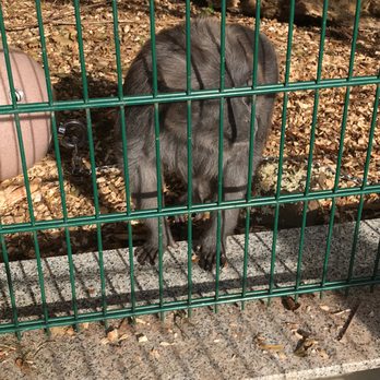 Tierpark Gotha - Zoos Near Me - Gotha, TH