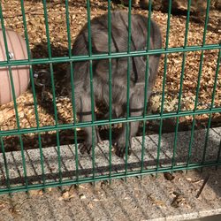 Tierpark Gotha