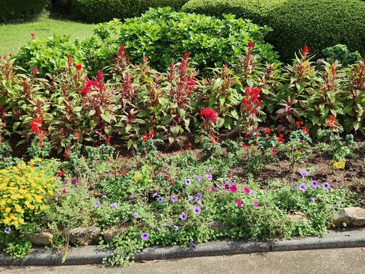 Nokonoshima Island by null