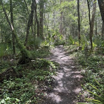 Loblolly Woods Nature Park - The trail - Hiking Near Me - Gainesville, Florida Loblolly Woods Nature Park - The trail - Hiking Near Me - Gainesville, Florida