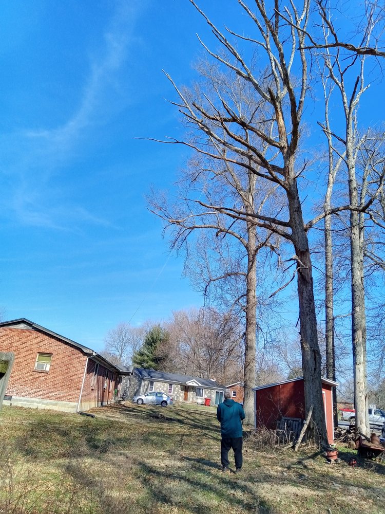 Trees R Us Tree Service TREES R US - Updated May 2025 - Request a Quote - Georgetown, Kentucky ...