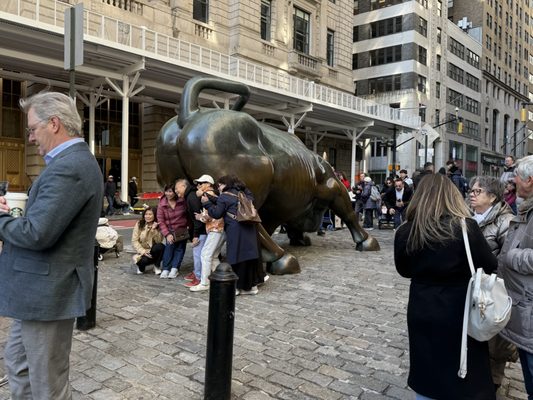 Charging Bull by null