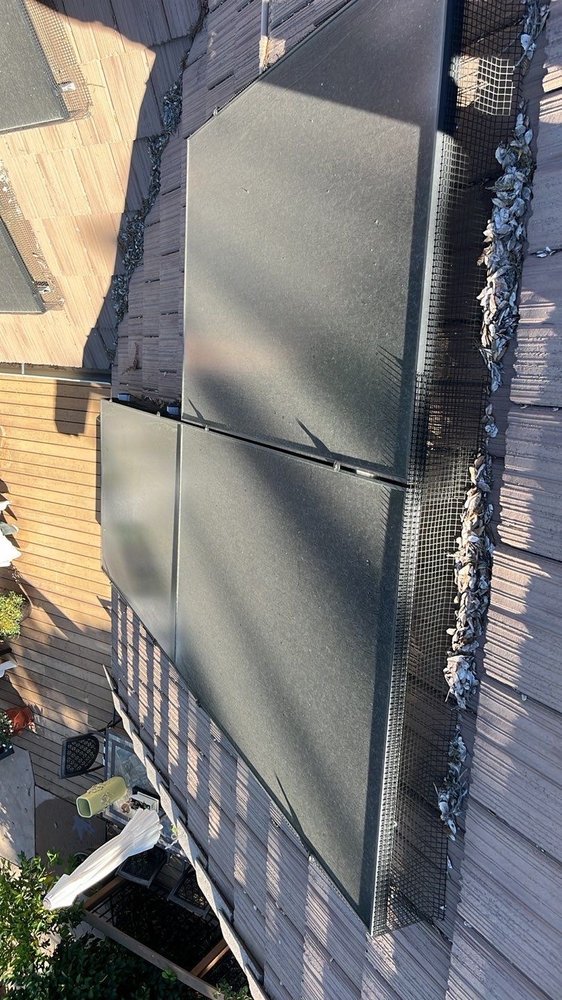 Slide of Hire Mikey's