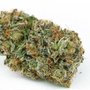 Native Roots Marijuana Dispensary Dillon REC