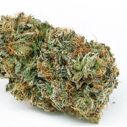 Native Roots Marijuana Dispensary Dillon REC