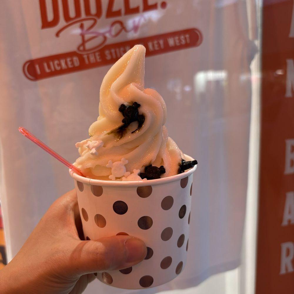 DOOZEE BESPOKE ICE CREAM BAR SHOP Updated September 2024 123 Duval