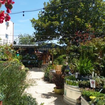 Flowerland - Nurseries & Gardening Near Me - Albany, California