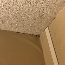 Holiday Inn Canton - Mold and wallpaper lifting