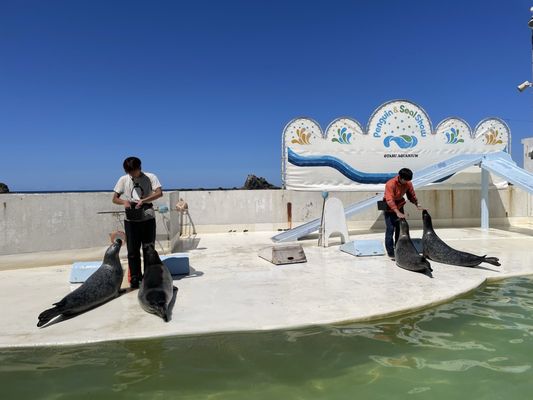 Otaru Aquarium by null