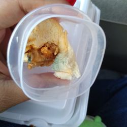Dee & Gee's Dairy Bar - Got a chicken strip dinner and a sandwich and found mold all over my food then when I went to return it the guy said I framed him for it
