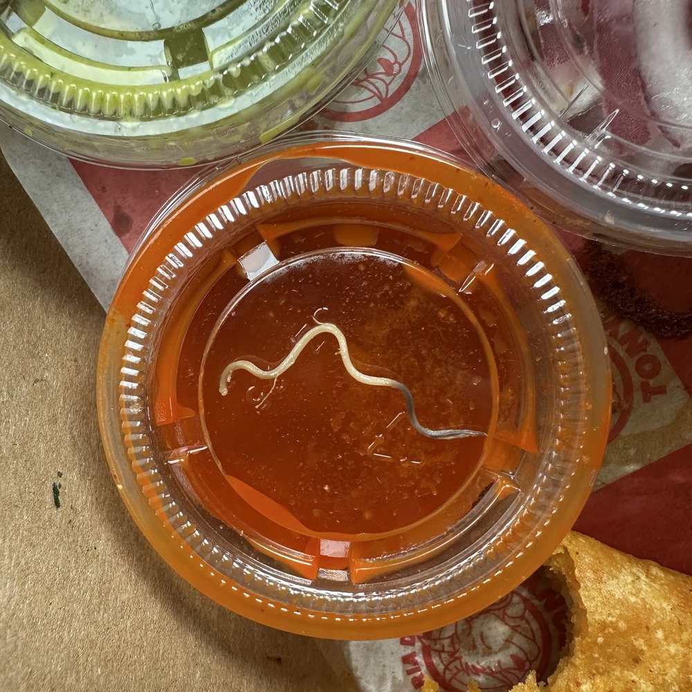 La Birria De Tony - Worm in my taco! - Tacos Near Me - Thornton , Colorado