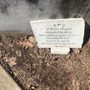 Photo of Korean War Memorial