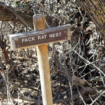 Fain Park - Parks Near Me - Prescott Valley, Arizona