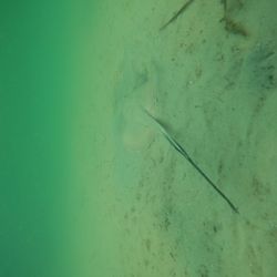 Try Scuba Diving - Panama City Beach