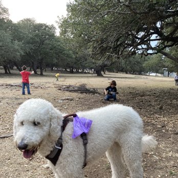 Home Away Ranch - Off leash area - Bed & Breakfast Near Me - Boerne, Texas Home Away Ranch - Off leash area - Bed & Breakfast Near Me - Boerne, Texas