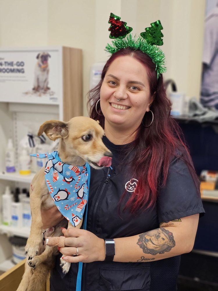 PETCO Updated April 2024 72 Photos & 123 Reviews 7308 South