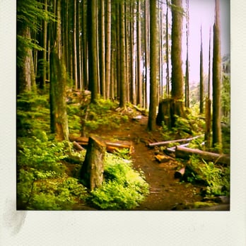 Brother's Creek Loop - I'm printing this one. Dream Woods :) - Hiking Near Me - British Properties, British Columbia