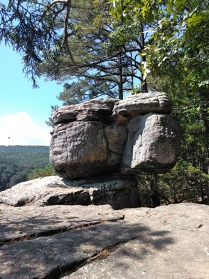 Hawksbill Crag/Whitaker Point by null