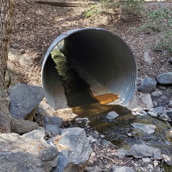 Palomar Mountain State Park - Fun places to explore.. Doane Pond.. - Parks Near Me - Palomar Mountain, California Palomar Mountain State Park - Fun places to explore.. Doane Pond.. - Parks Near Me - Palomar Mountain, California
