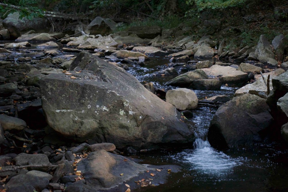 ABRAMS CREEK CAMPGROUND Updated September 2024 166 Abrams Creek Dr