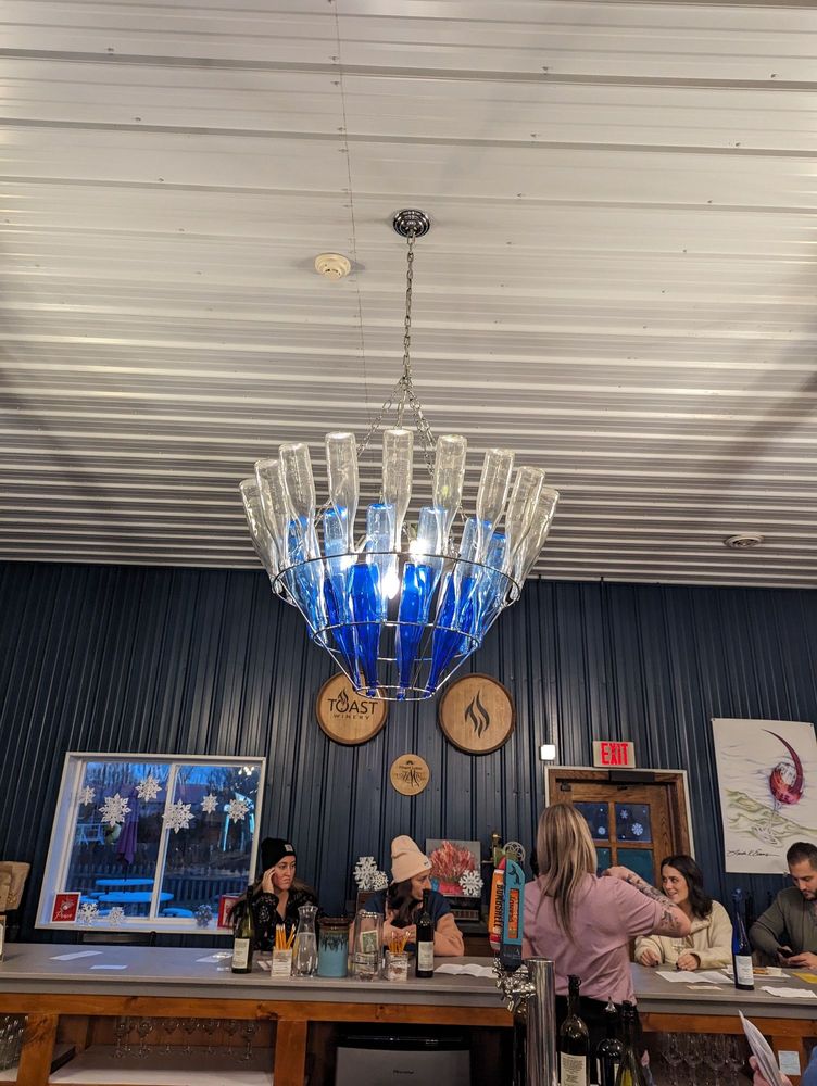 Toast Winery - vineyard in Rock Stream, NY