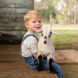 Jaybird Hammock Farm