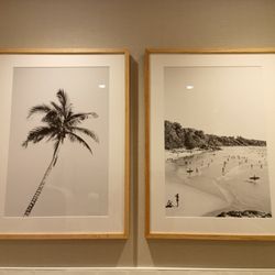 Pura Vida Miami