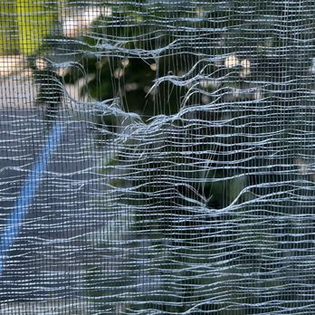SpringHill Suites by Marriott Frankenmuth - The ripped and worn out screen on the window. - Hotels Near Me - Frankenmuth, Michigan SpringHill Suites by Marriott Frankenmuth - The ripped and worn out screen on the window. - Hotels Near Me - Frankenmuth, Michigan