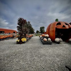 Russell Farms