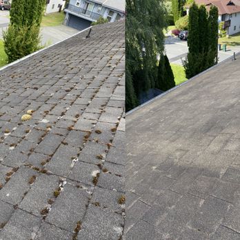 Earlybird Windows and Gutters - Roof Demossing - Window Washing Near Me Earlybird Windows and Gutters - Roof Demossing - Window Washing Near Me