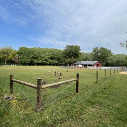 Farmland Fencing - Corner posts