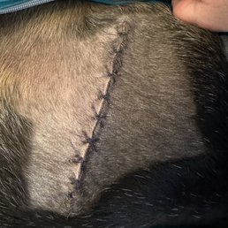 Incision site 1 week later! Healing beautifully!!