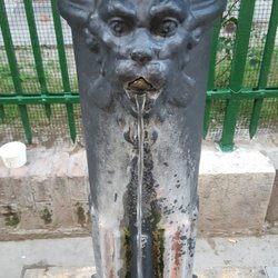 Fontane Pubbliche di Venezia