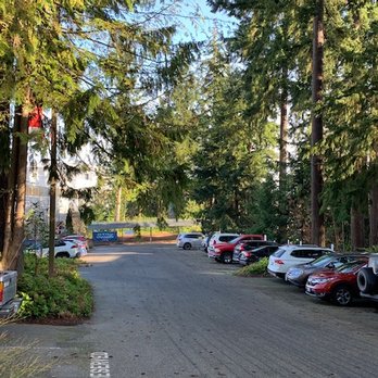 Edmonds Oral Surgery - Plenty of parking in the spacious lot. - Oral Surgeons Near Me - Edmonds, Washington Edmonds Oral Surgery - Plenty of parking in the spacious lot. - Oral Surgeons Near Me - Edmonds, Washington