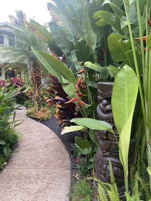 Pineapple Inn Maui by null