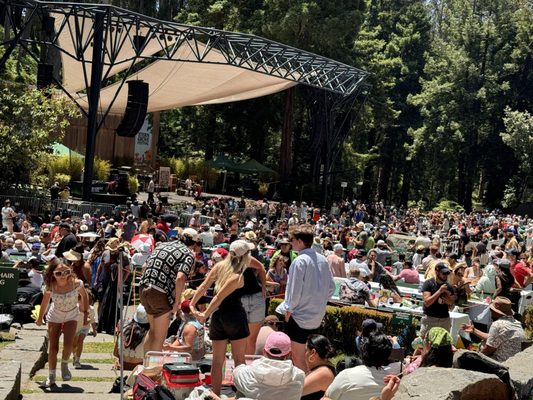 Stern Grove Festival by null