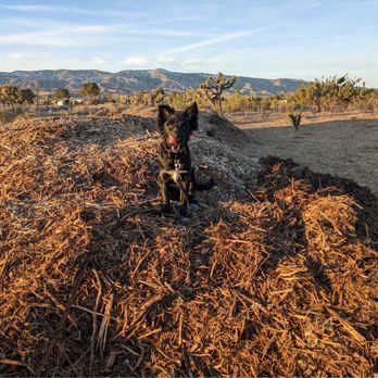 Fun Paw Care - Pet Training Near Me - Los Angeles, California Fun Paw Care - Pet Training Near Me - Los Angeles, California