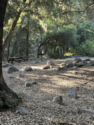 Eaton Canyon Falls by null