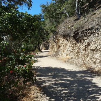 Sycamore Crest Trail - For the experts - Hiking Near Me Sycamore Crest Trail - For the experts - Hiking Near Me