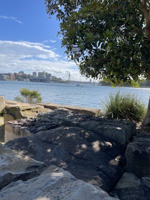 Barangaroo Reserve by null