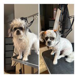 Before and after