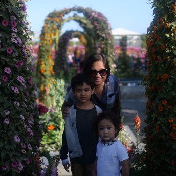 The Flower Fields - flower hoops - Venues & Event Spaces Near Me - Carlsbad, California The Flower Fields - flower hoops - Venues & Event Spaces Near Me - Carlsbad, California