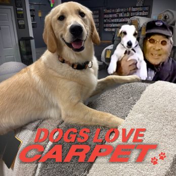 Carpet Depot - Shop our warehouse deals IN STORE only:
2005 McGee Rd SW
Snellville, GA 30078

770-736 - 7361 - Carpeting Near Me - Snellville, Georgia