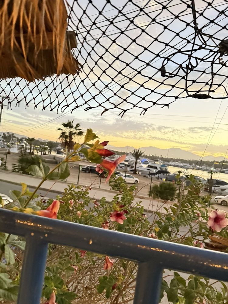 El Marinero Borracho