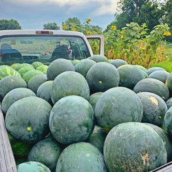 Beyond Harvest Foods