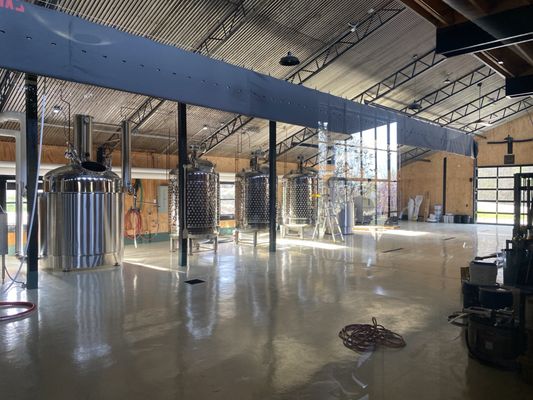 Wonderbird Spirits by null